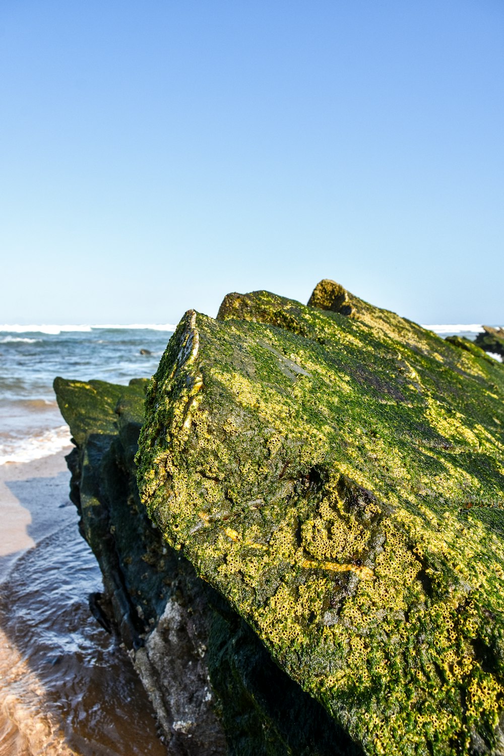 a rock covered in green moss sitting on top of a beach