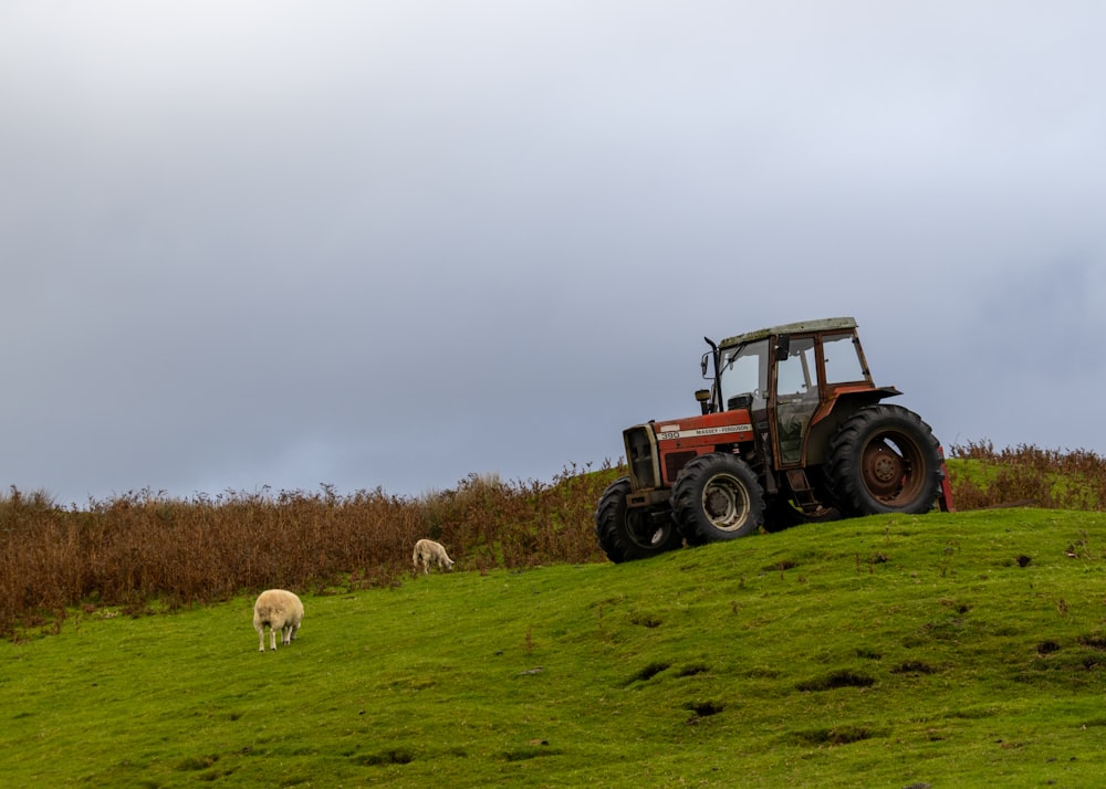 a tractor and some sheep on a grassy hill