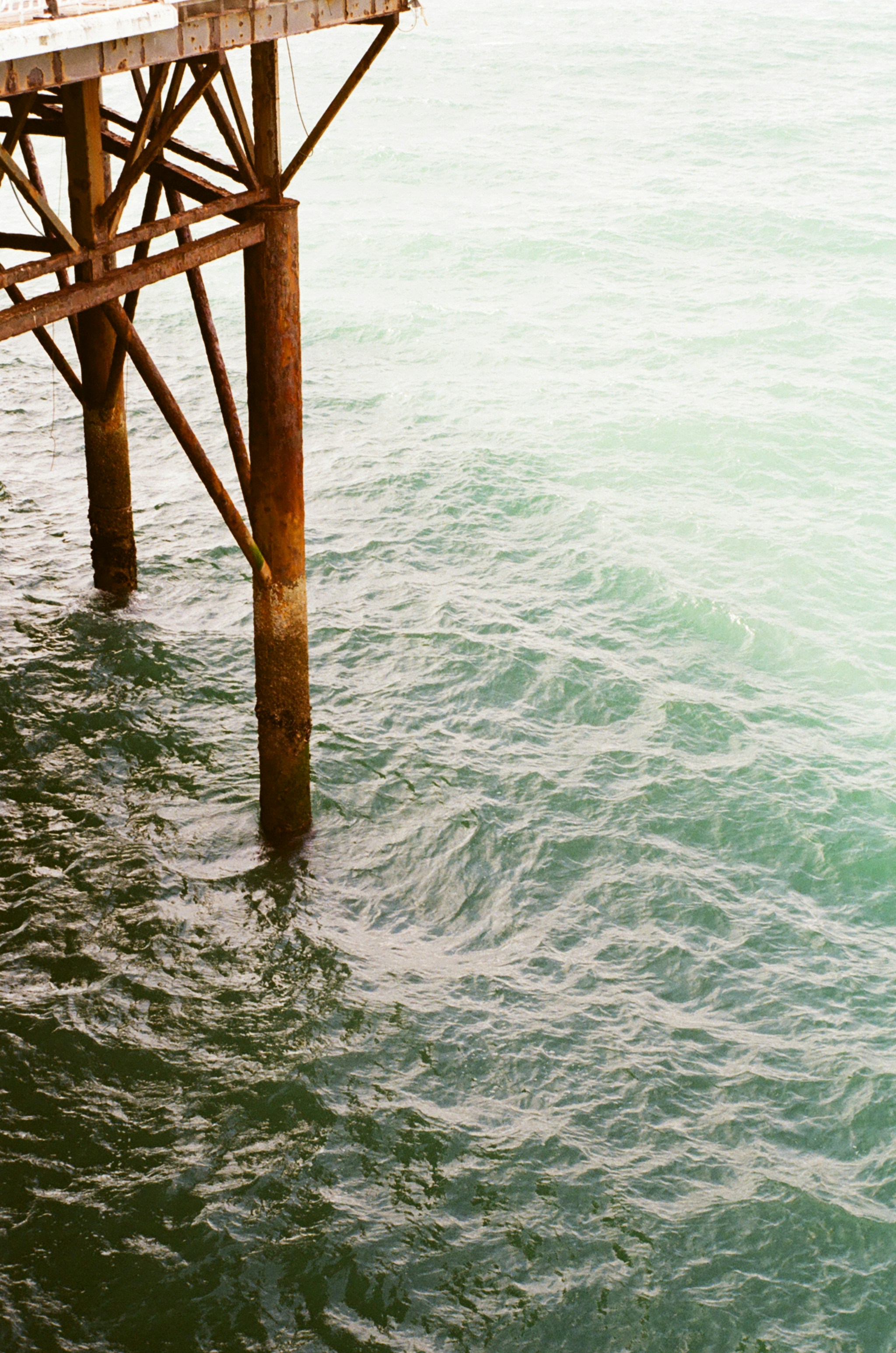 Photo by notwiiichatakingpics