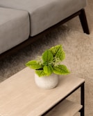 Minimalist 3D printed planter with bright green plant inside, set on a wooden table.