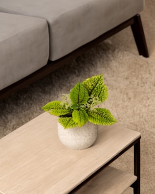 Minimalist 3D printed planter with bright green plant inside, set on a wooden table.