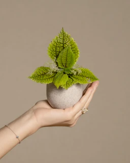 Close-up of a handcrafted flowerpot with delicate green leaves and soft natural textures.