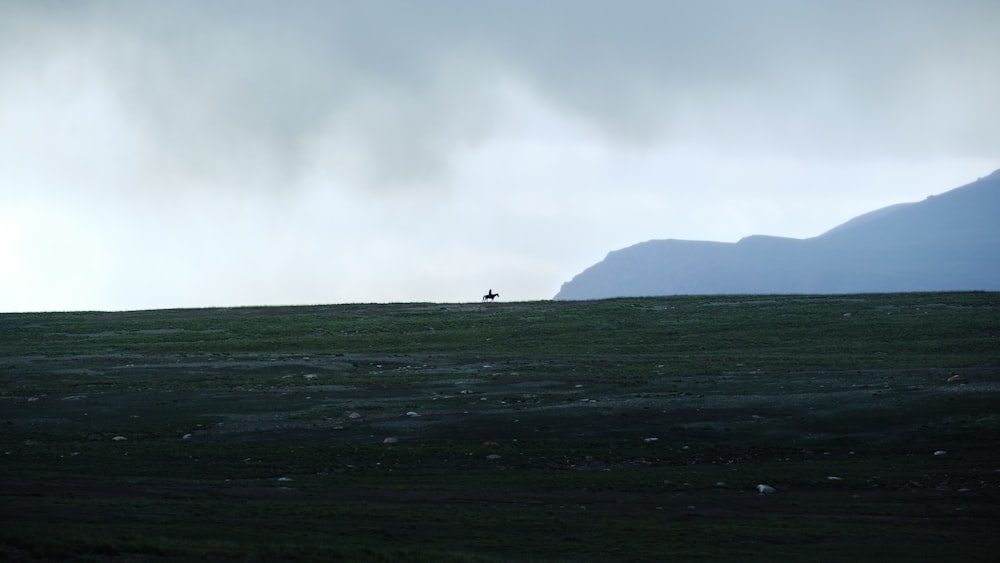 a lone person standing on a grassy hill