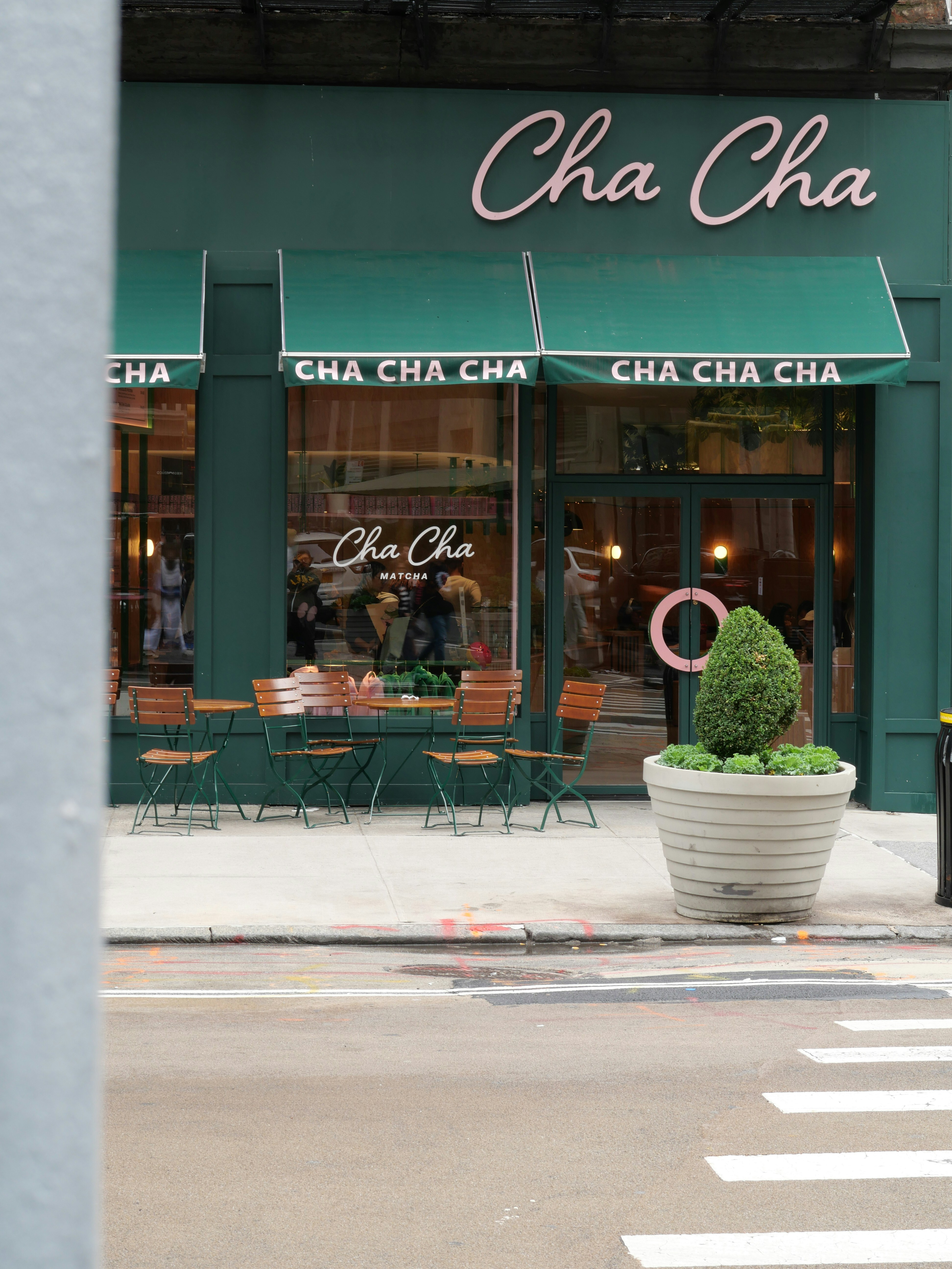 a street corner with a potted plant on the sidewalk