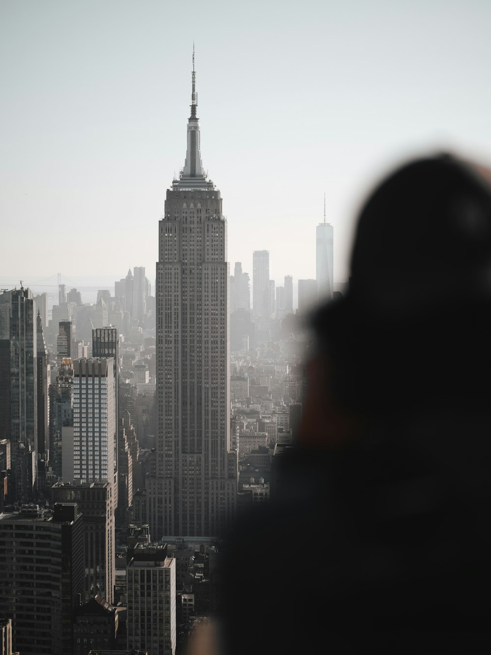 a person standing in front of a city skyline