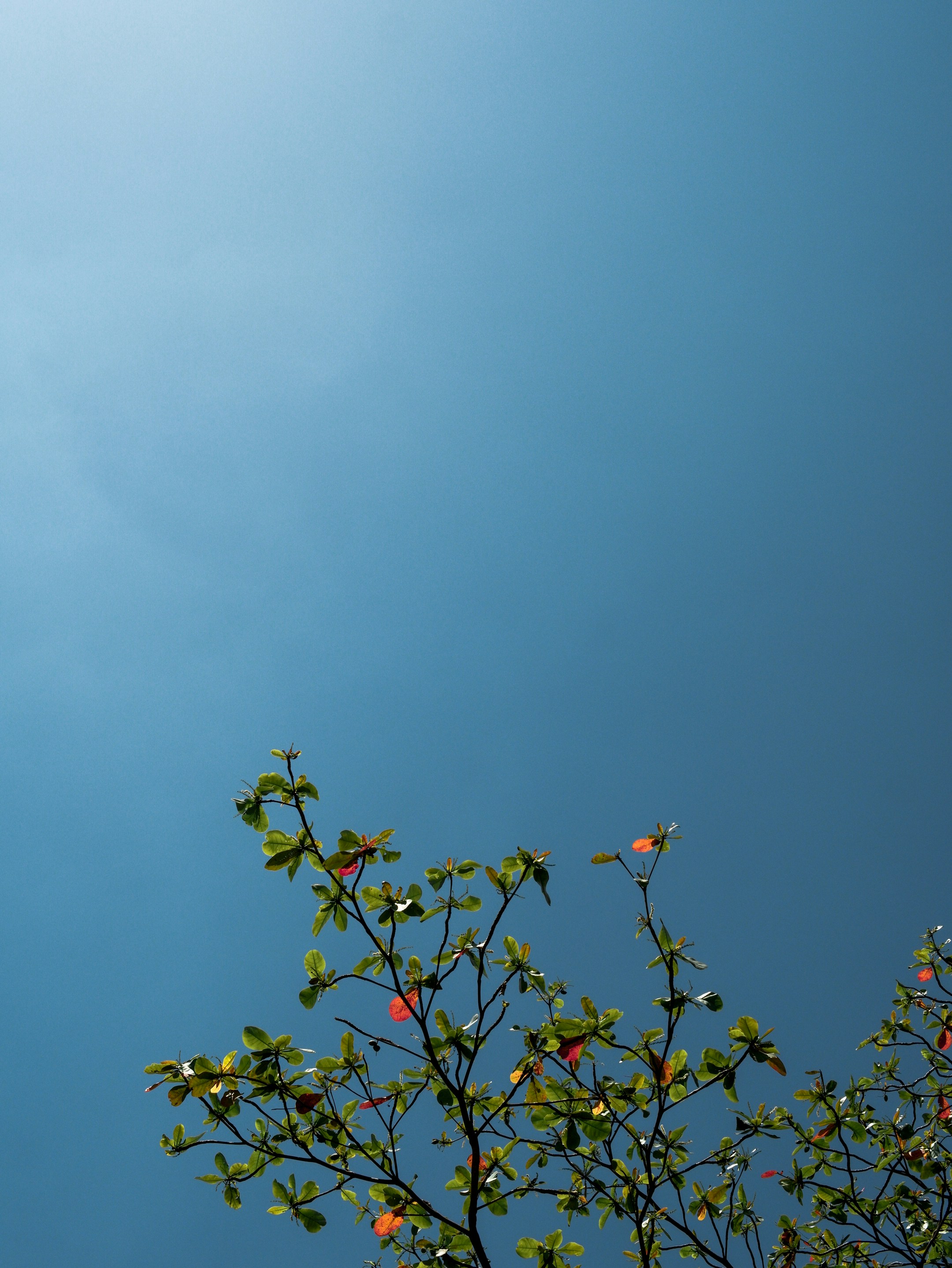 Photo by gilbertusadin