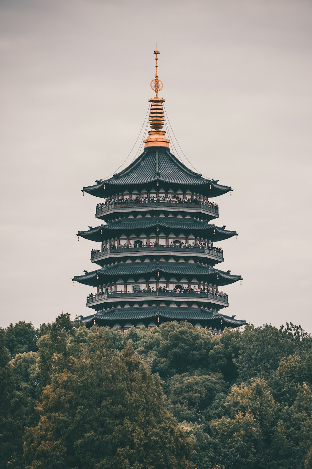 a tall building with a golden top surrounded by trees