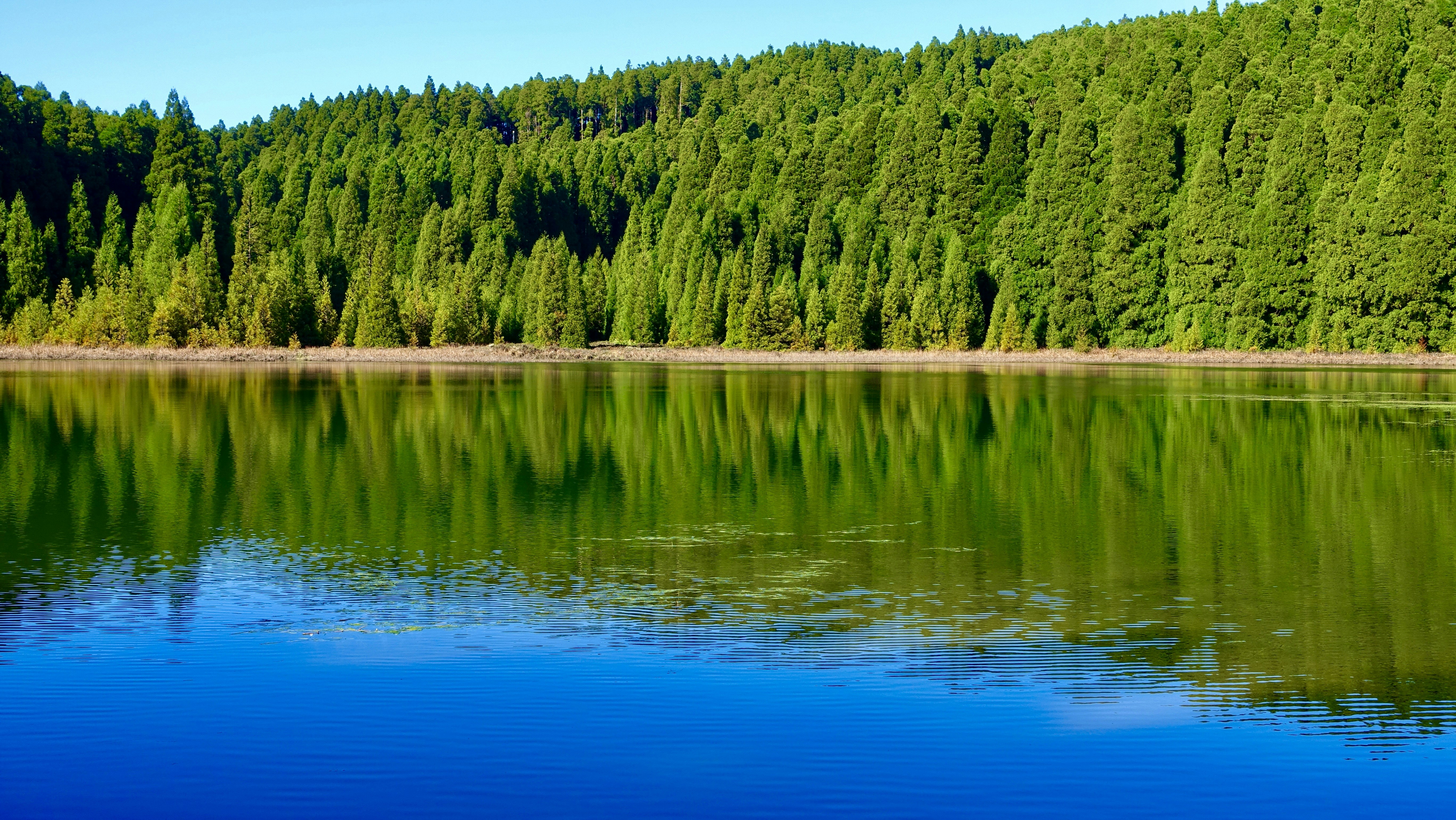 Photo by loloscott78