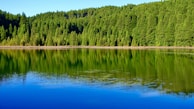 A serene lake surrounded by lush green forest reflecting the sky.