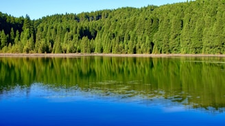 A serene lake surrounded by lush green forest reflecting the sky.