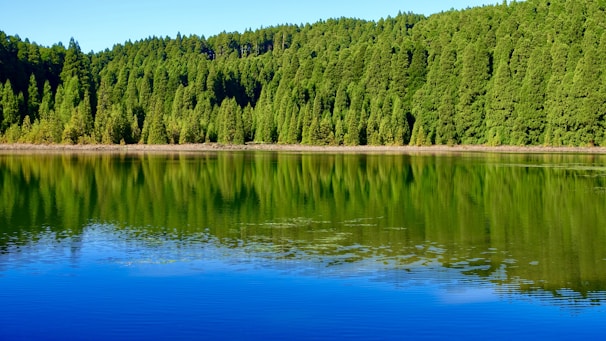 Serene waters of Deoriatal lake reflecting the green forest and clear blue skies.