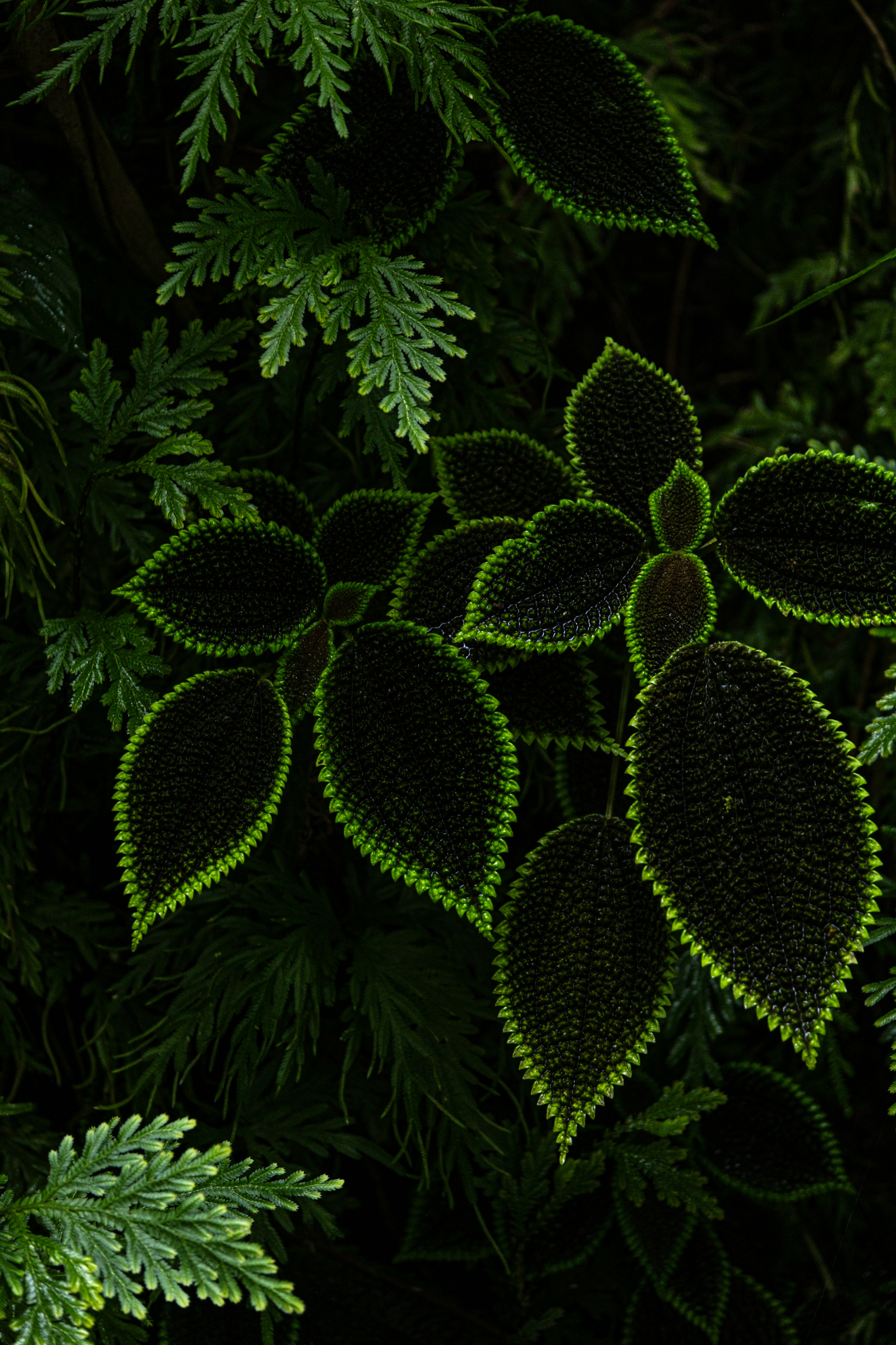 Photo by cestmoisheedy