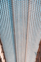 A large, expansive glass ceiling with a grid-like metal framework stretches across the image. The symmetrical design creates an intricate pattern that is balanced and visually striking. Soft natural light filters through the glass, casting gentle shadows on the surrounding architecture.