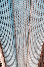 A large, expansive glass ceiling with a grid-like metal framework stretches across the image. The symmetrical design creates an intricate pattern that is balanced and visually striking. Soft natural light filters through the glass, casting gentle shadows on the surrounding architecture.