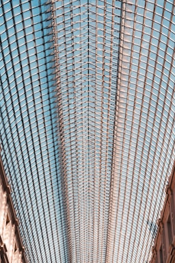 A large, expansive glass ceiling with a grid-like metal framework stretches across the image. The symmetrical design creates an intricate pattern that is balanced and visually striking. Soft natural light filters through the glass, casting gentle shadows on the surrounding architecture.