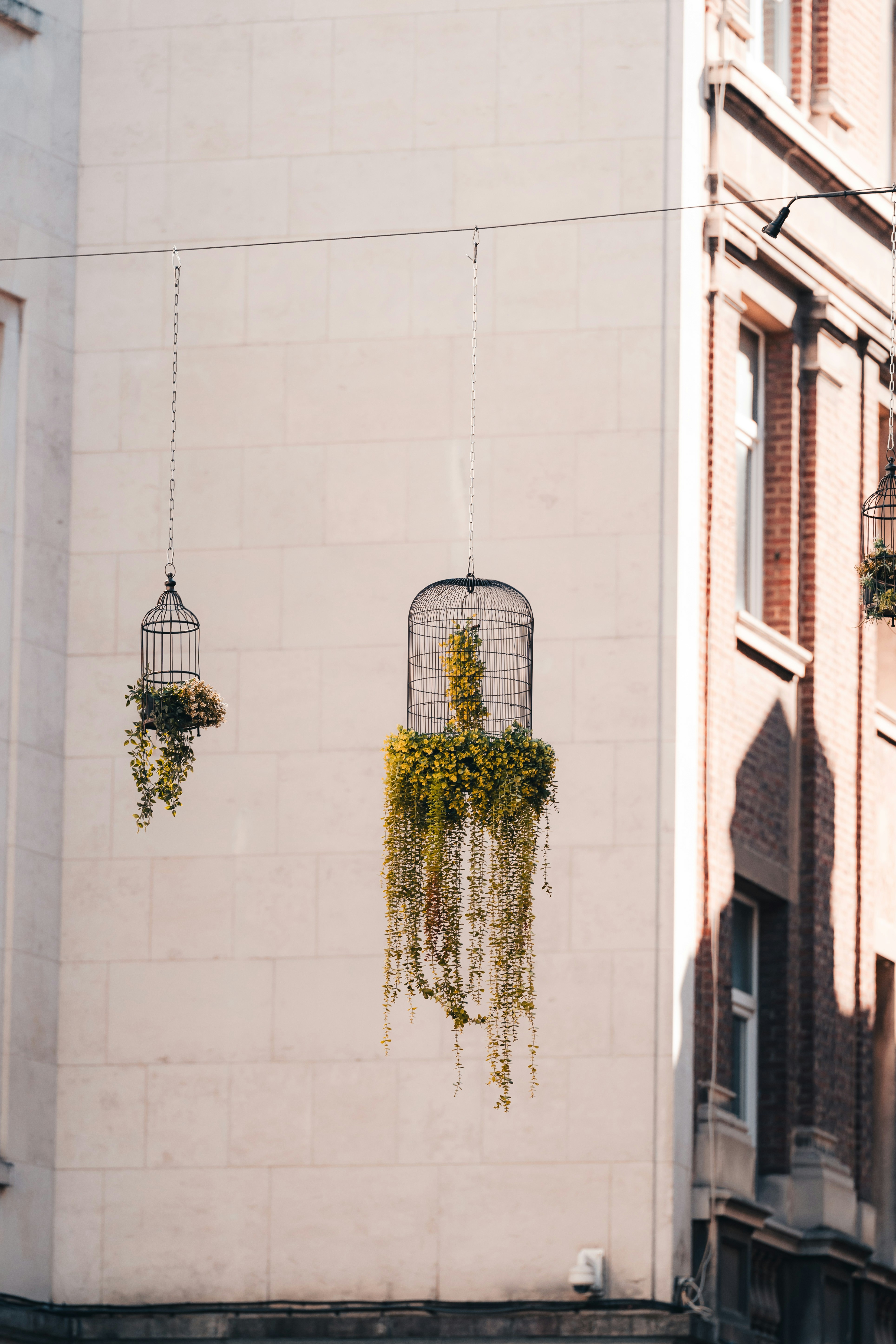 Gaiola para Canários