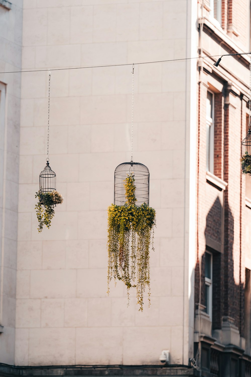 a building with a bunch of plants hanging from it's sides