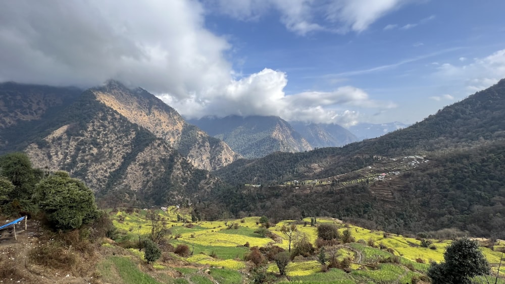 a scenic view of a valley with mountains in the background