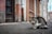 A tabby cat sits on a paved street lined with old buildings. The architecture features weathered wooden doors and faded walls, providing a rustic urban backdrop.