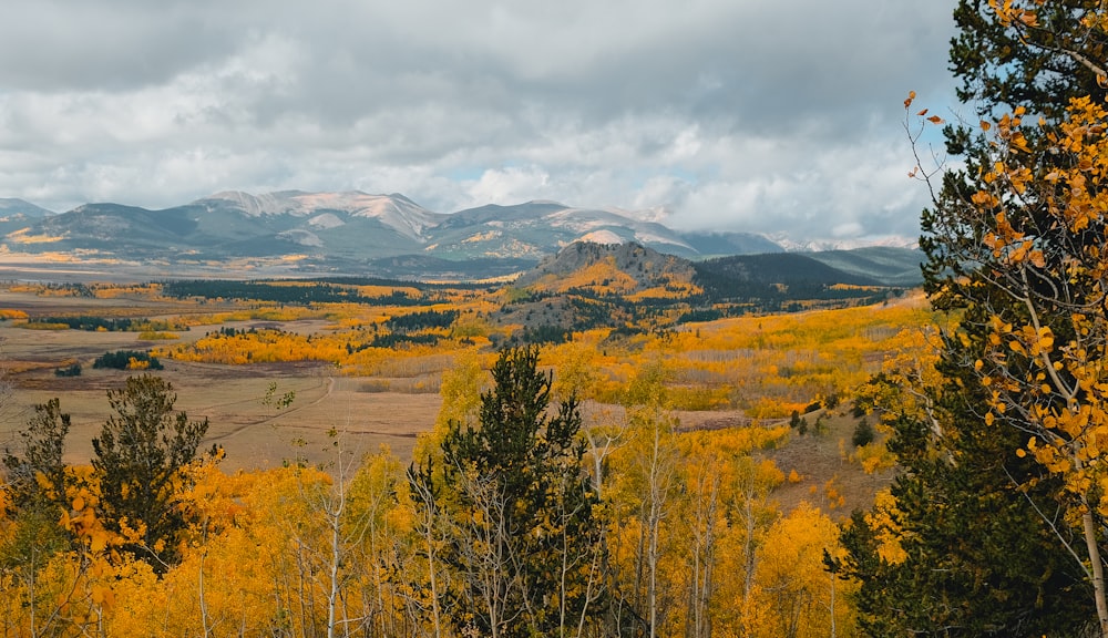 a scenic view of a mountain range in autumn