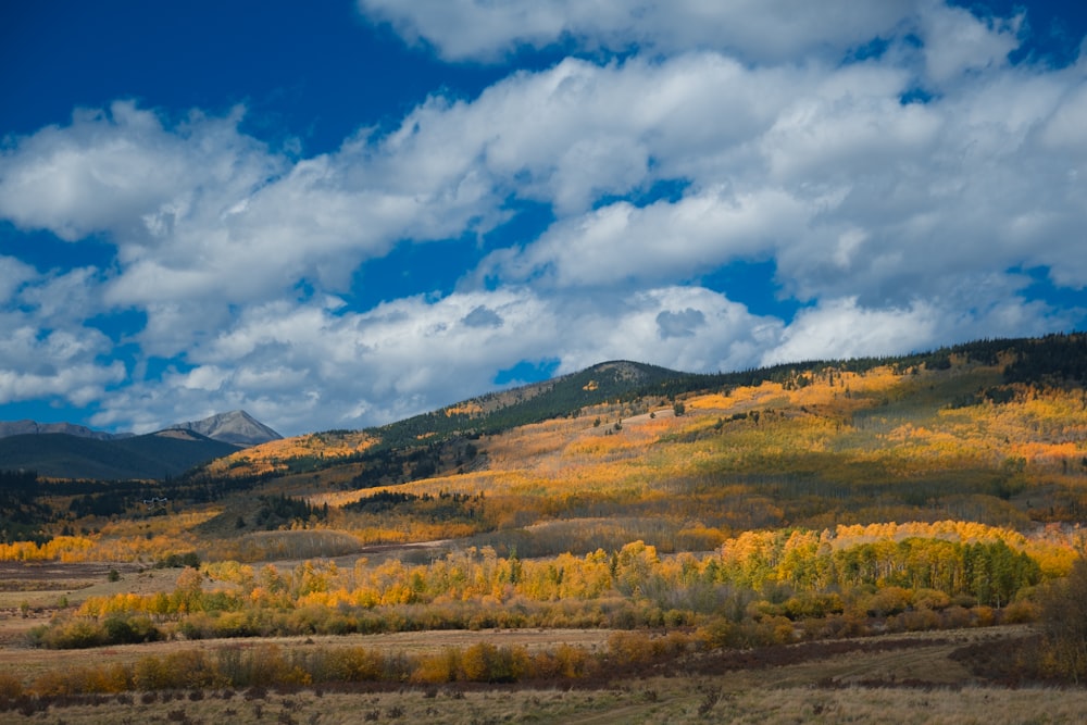 a scenic view of a mountain range with trees in the foreground