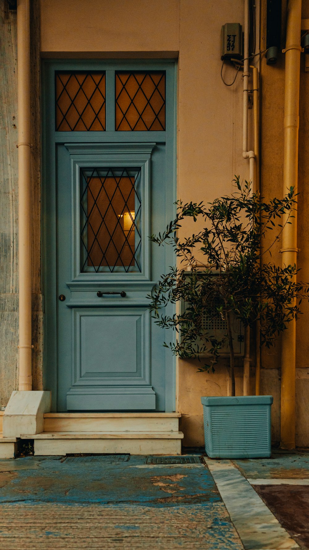 una puerta azul con una planta frente a ella