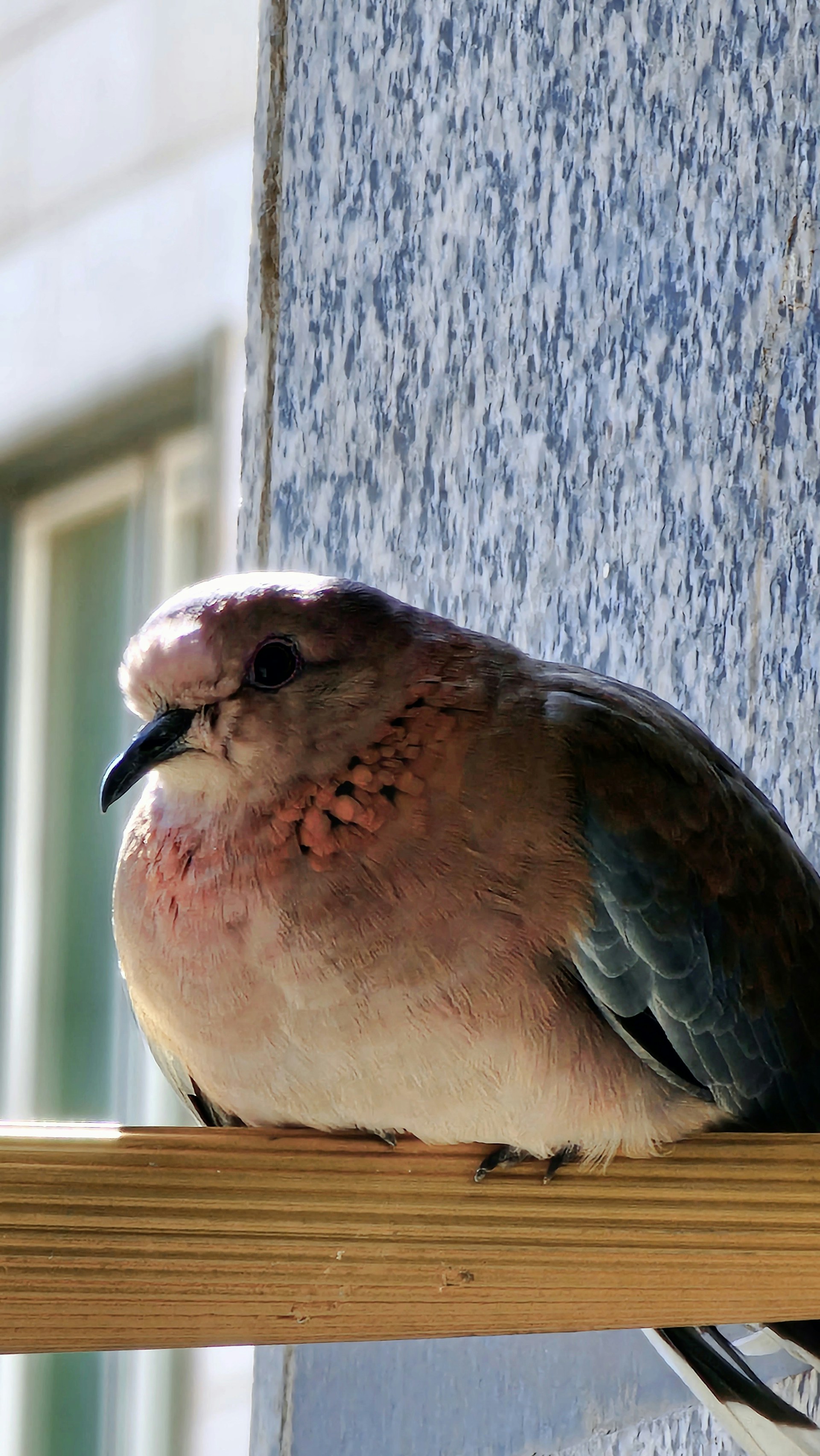 woman wearing yellow long-sleeved dress under white clouds and blue sky during daytime