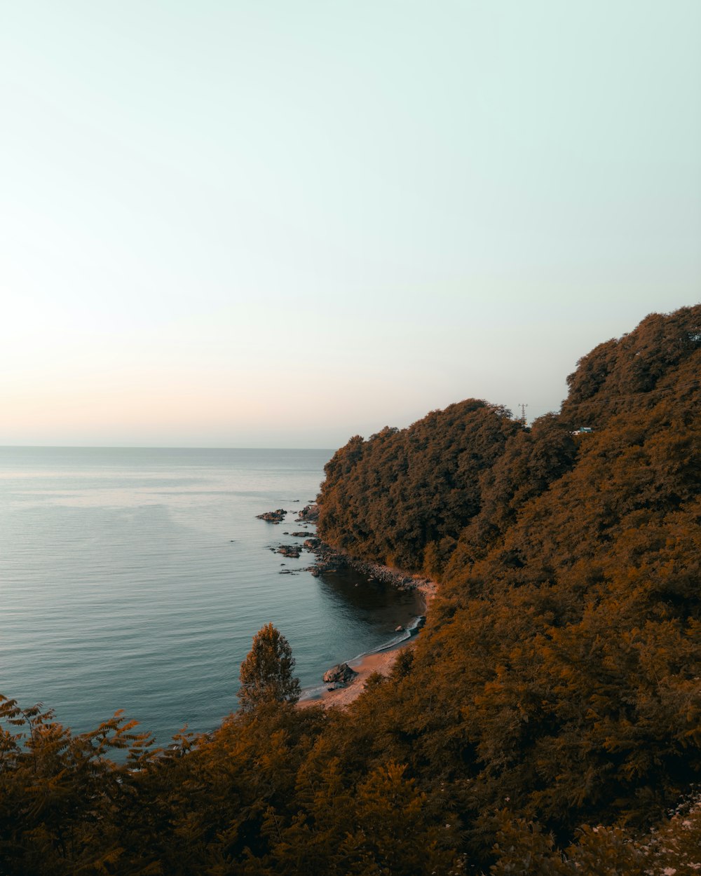 a body of water surrounded by trees and a hill