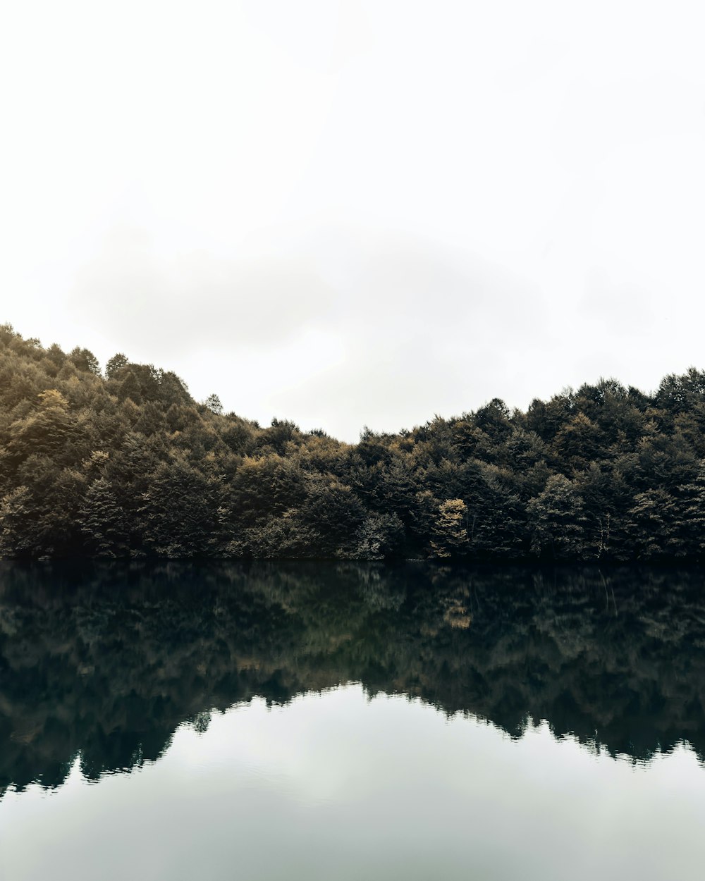 a large body of water surrounded by trees