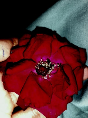 A vibrant red rose with velvety petals is held gently in a hand, displaying intricate details of its stamen at the center. The setting is dimly lit, with a soft focus on the textiles in the background, creating a contrast between the natural beauty of the rose and the texture of the surroundings.