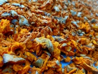 A close-up view of numerous orange and brown dried turmeric pieces scattered across a surface. The texture appears rough and fibrous with some areas blending into a bluish background.