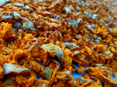 Close-up of vibrant turmeric powder (haldi) with pumpkin and sunflower seeds scattered around.