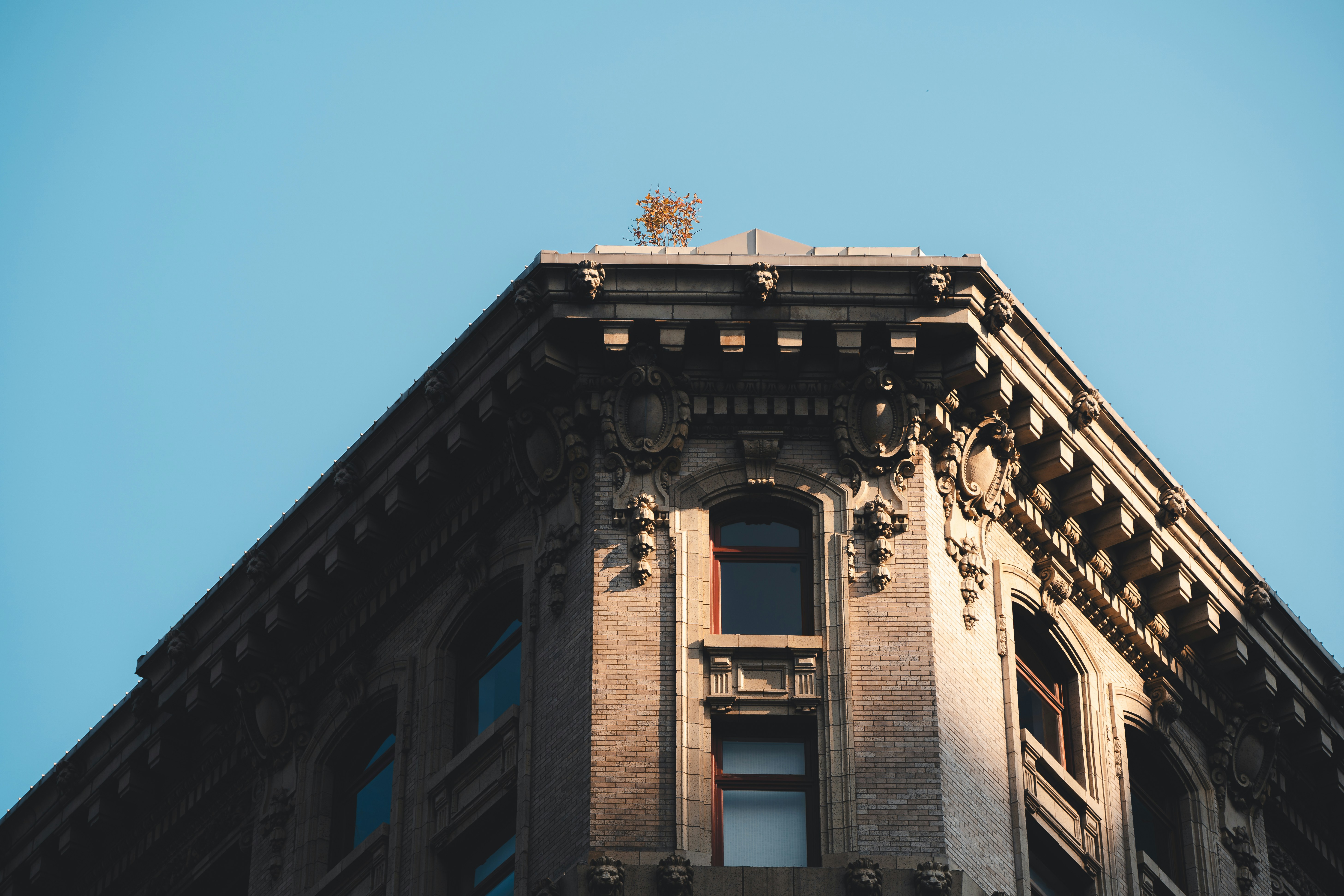 Photo by willianjusten