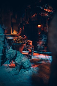 A large, stone-like dog sits on a wooden floor in a dimly lit, rustic room. There are numerous baskets, ropes, and lanterns hanging from the ceiling, creating a cluttered yet cozy atmosphere. The lighting casts warm and cool tones across the surfaces, adding to the mysterious ambiance.