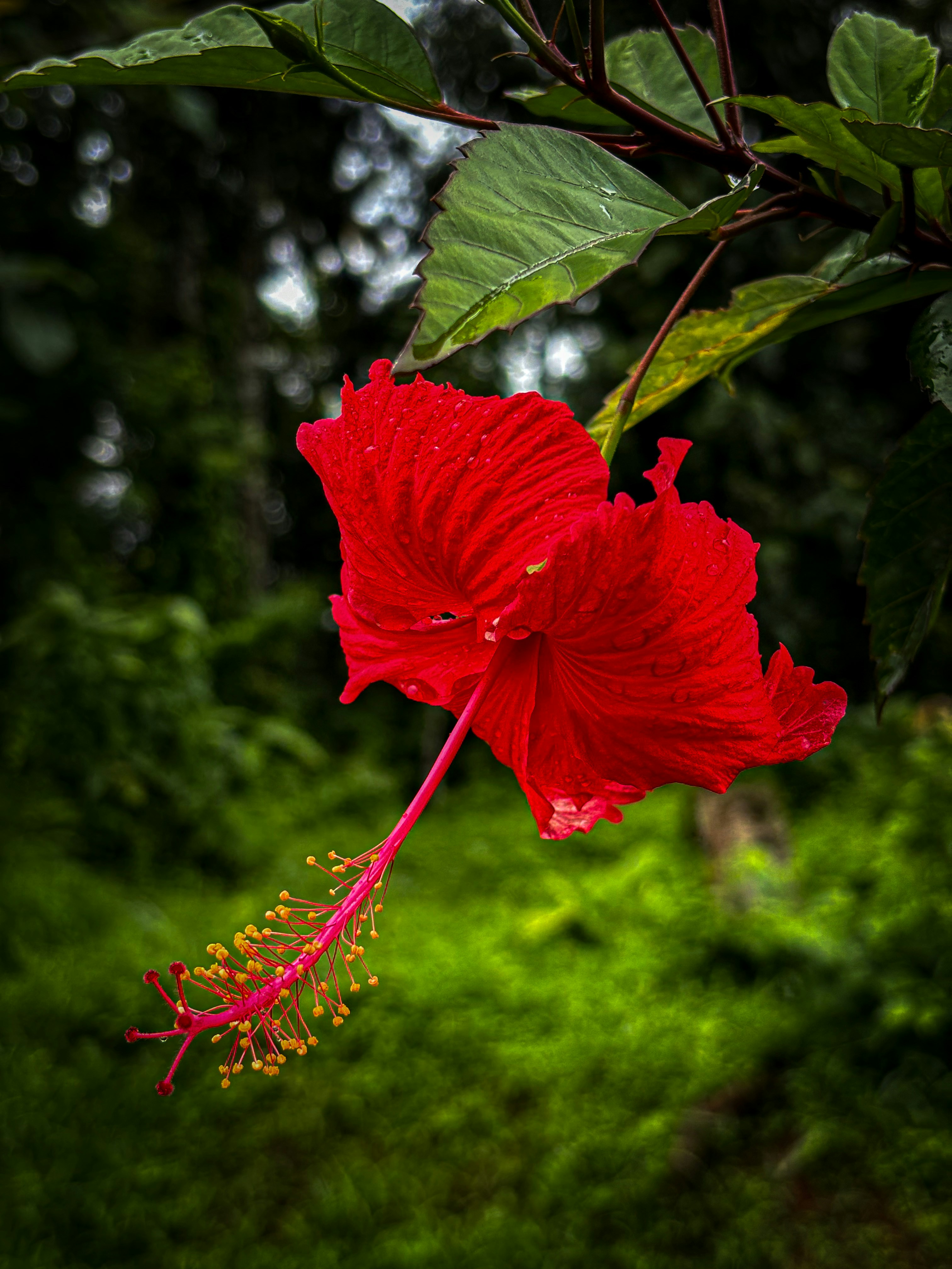 Mahi Wave (@mahiwave) | Comunidad de fotos de Unsplash, image size:3000x4000
