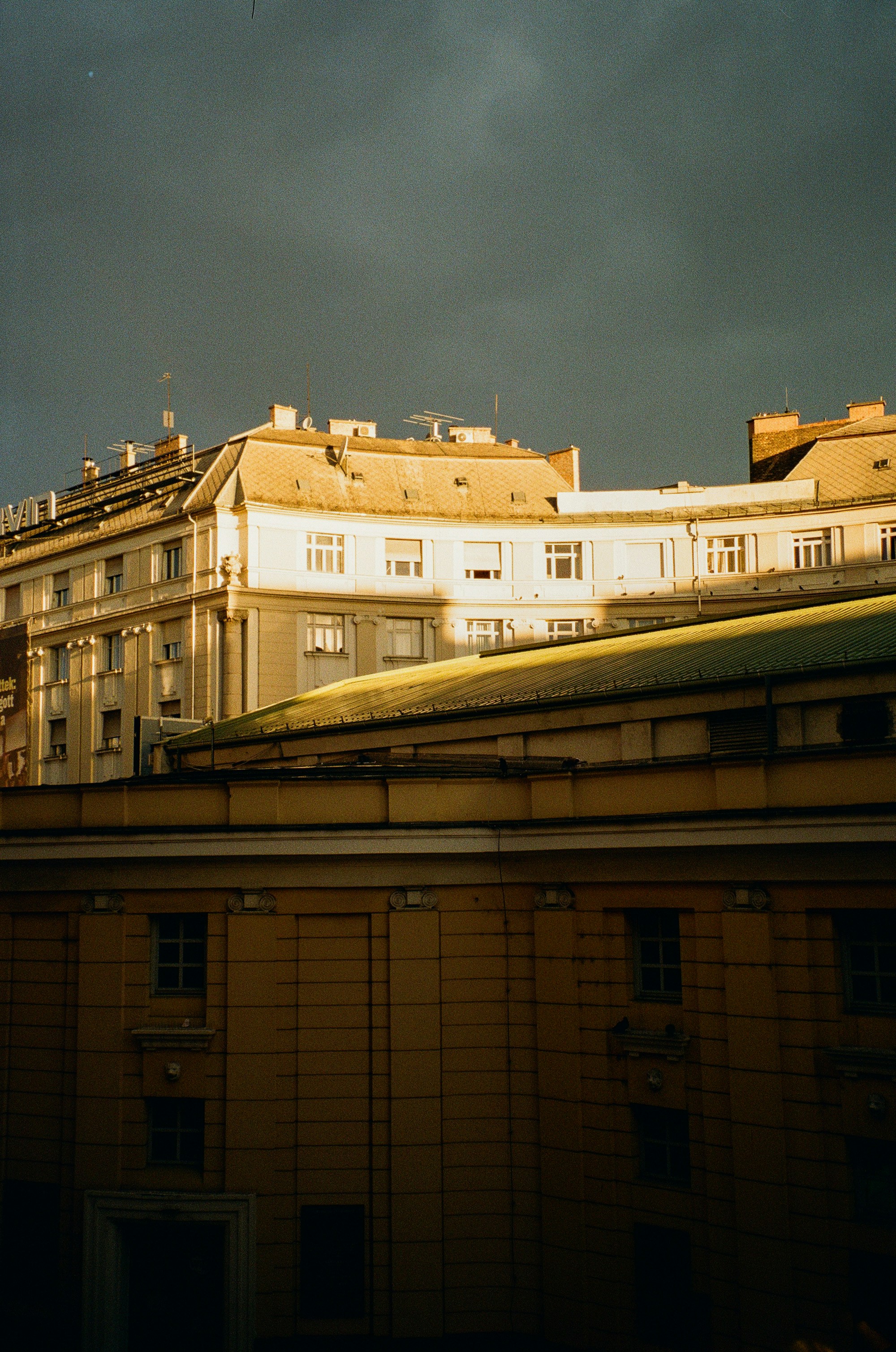 Photo by stachmann