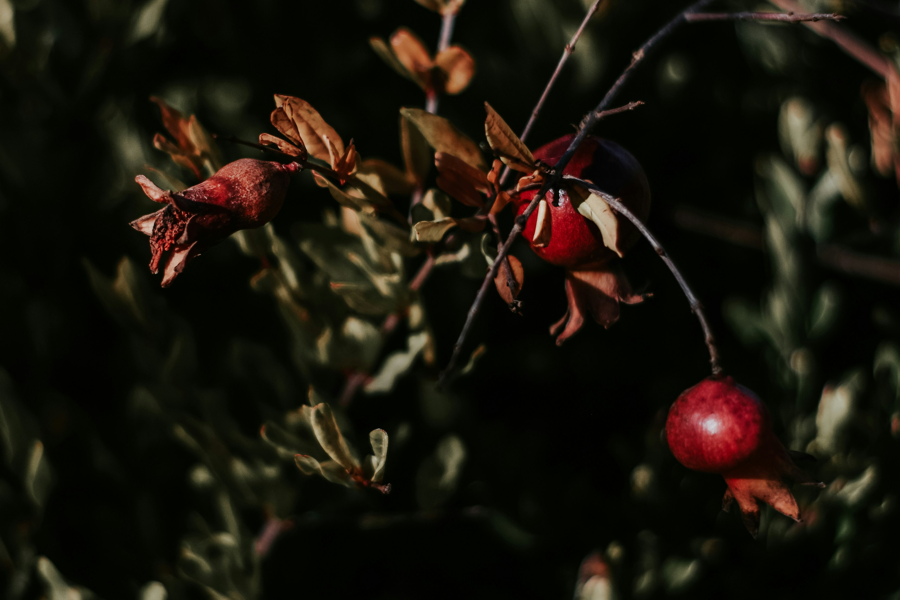 Photo by mariasolponce