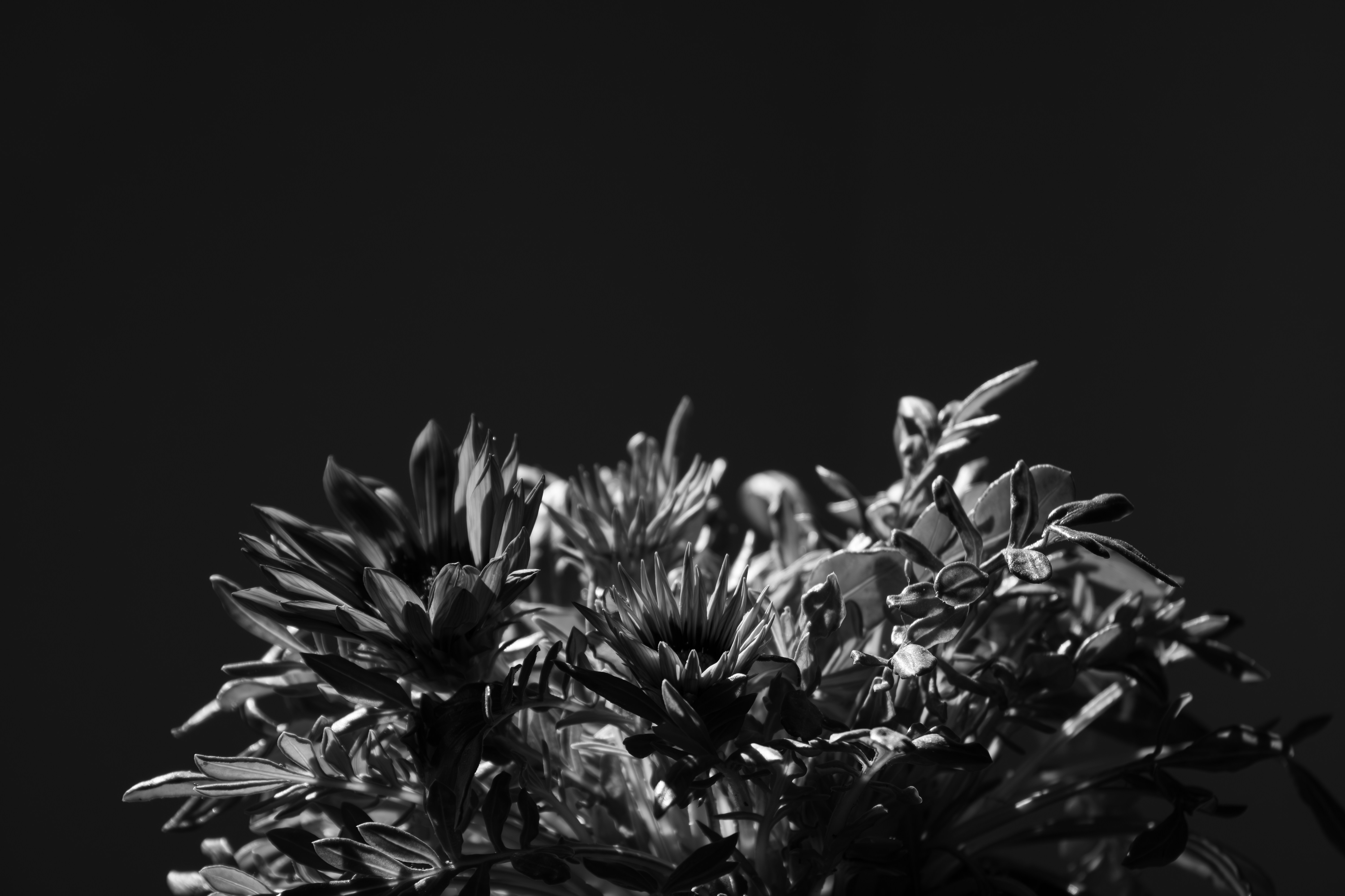 Photo by mariasolponce