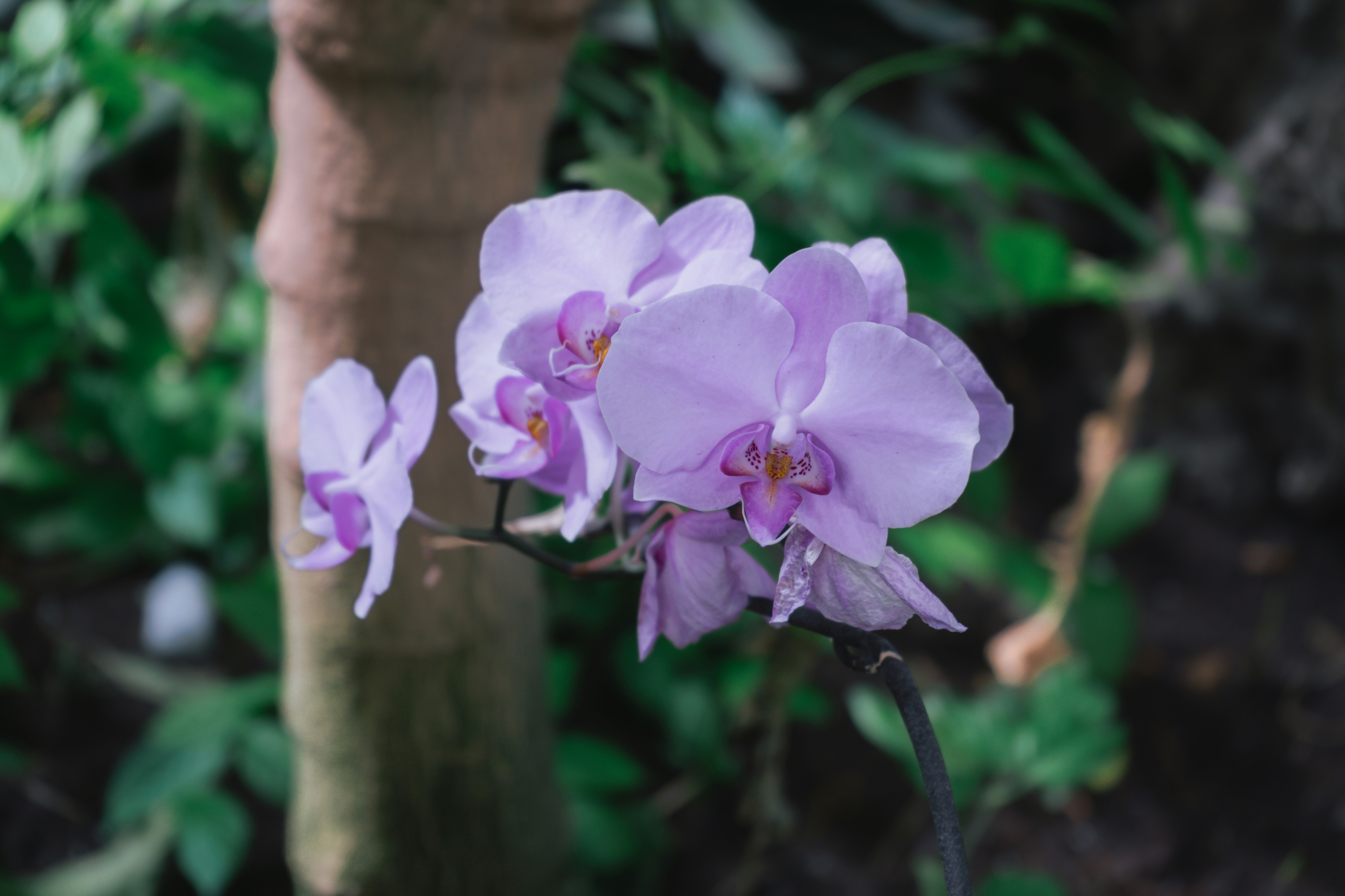 Photo by mariasolponce