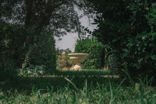 A peaceful garden corner featuring a stone edging and a small bird bath under a tree.
