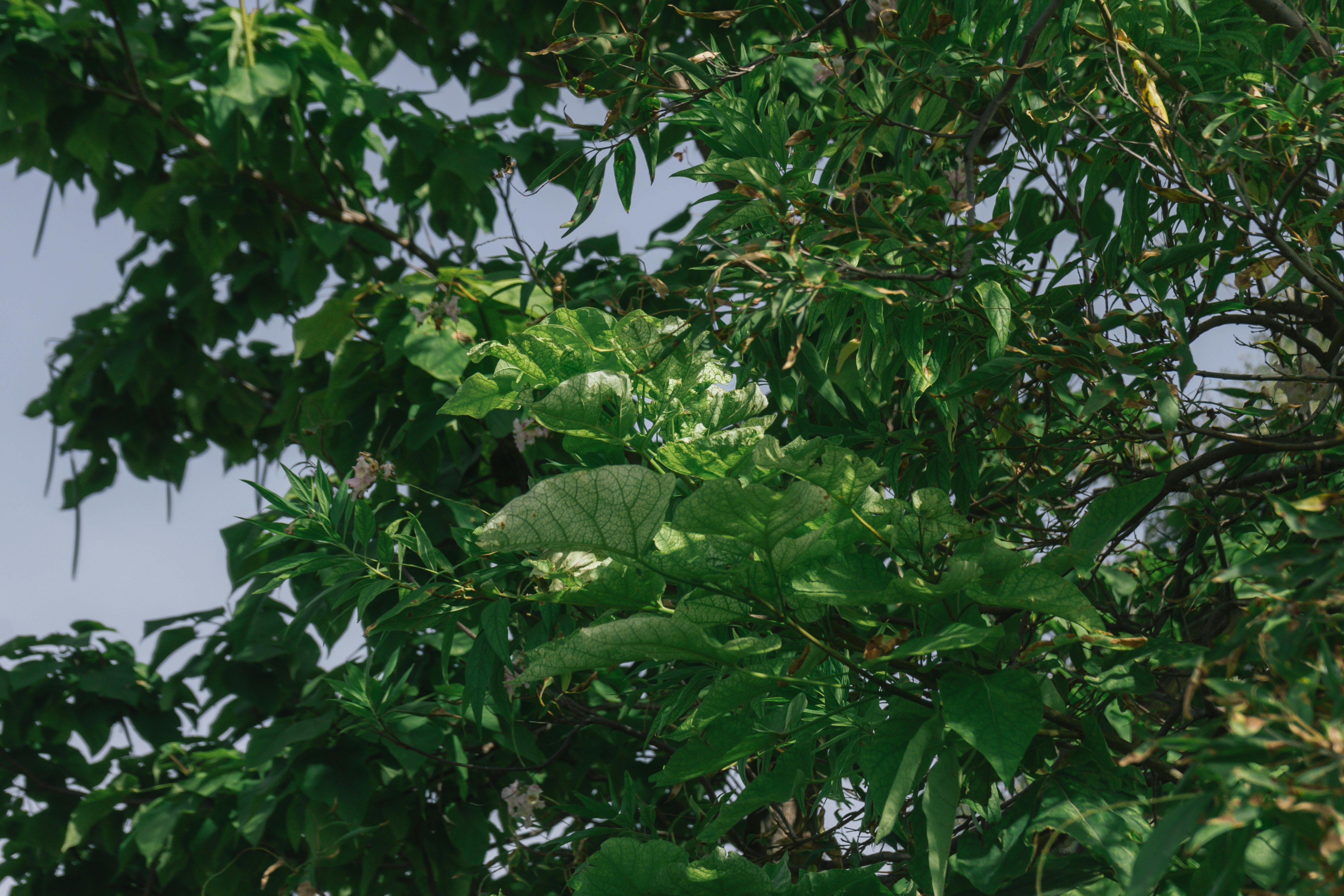 Photo by mariasolponce