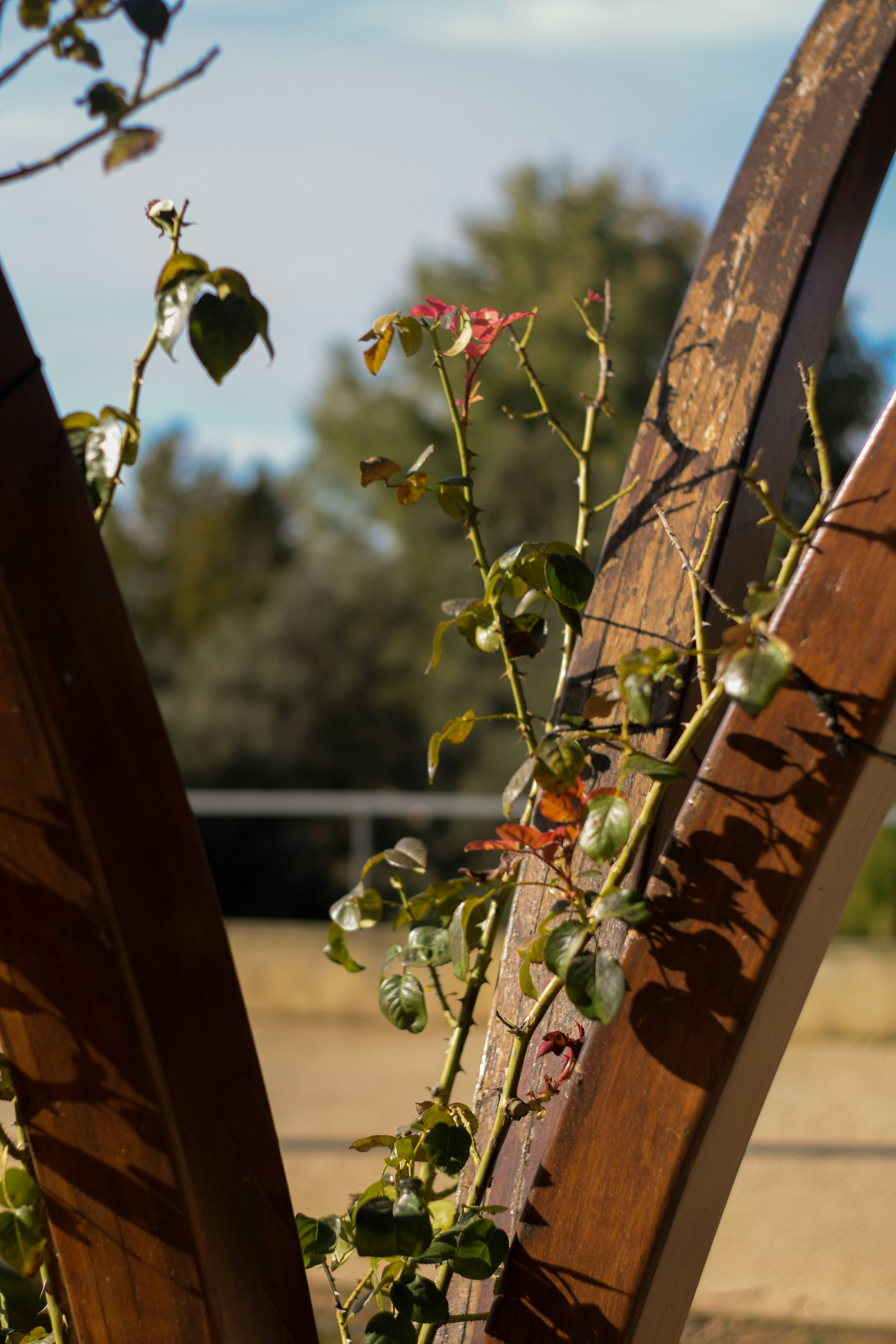 Photo by mariasolponce