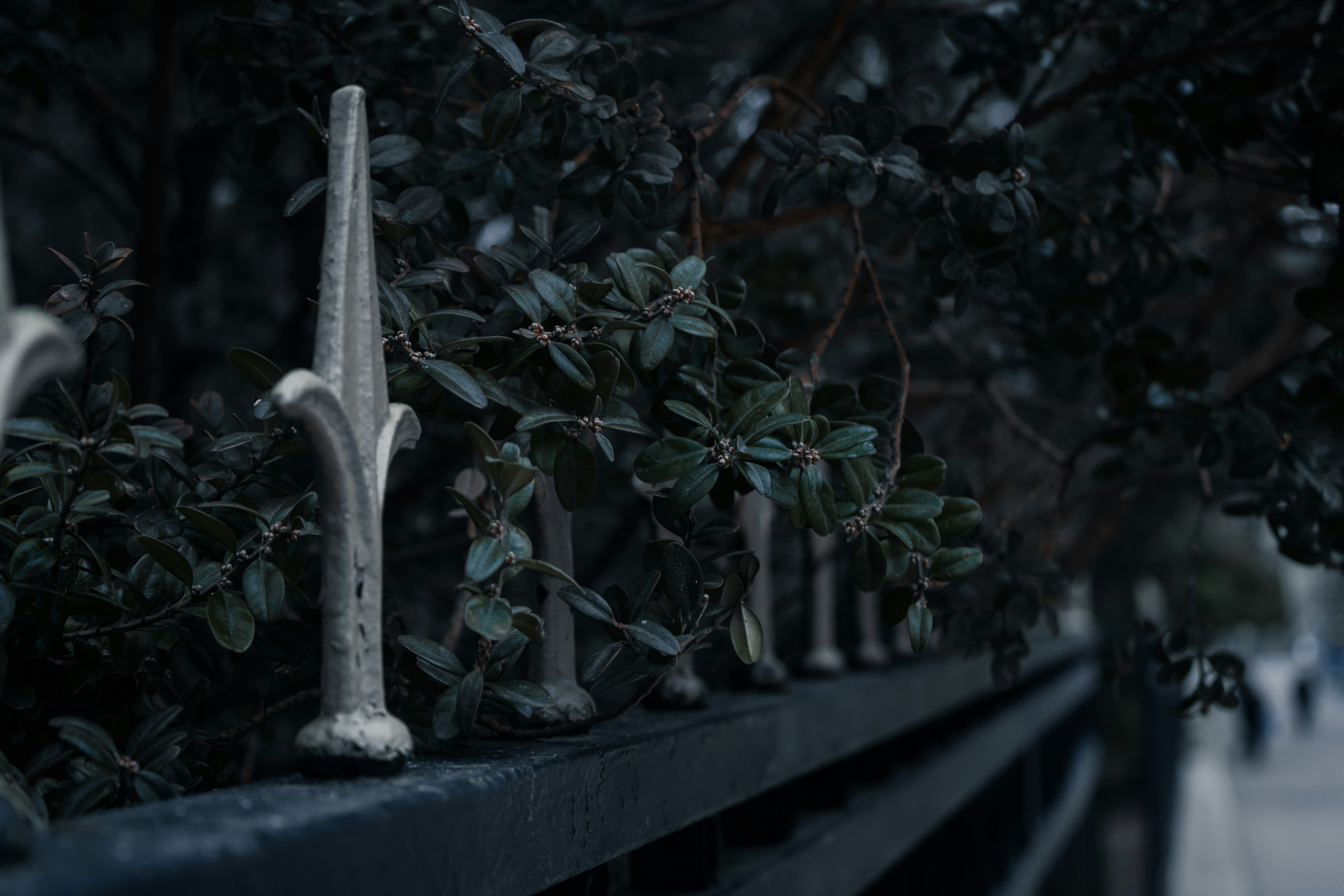 Photo by mariasolponce