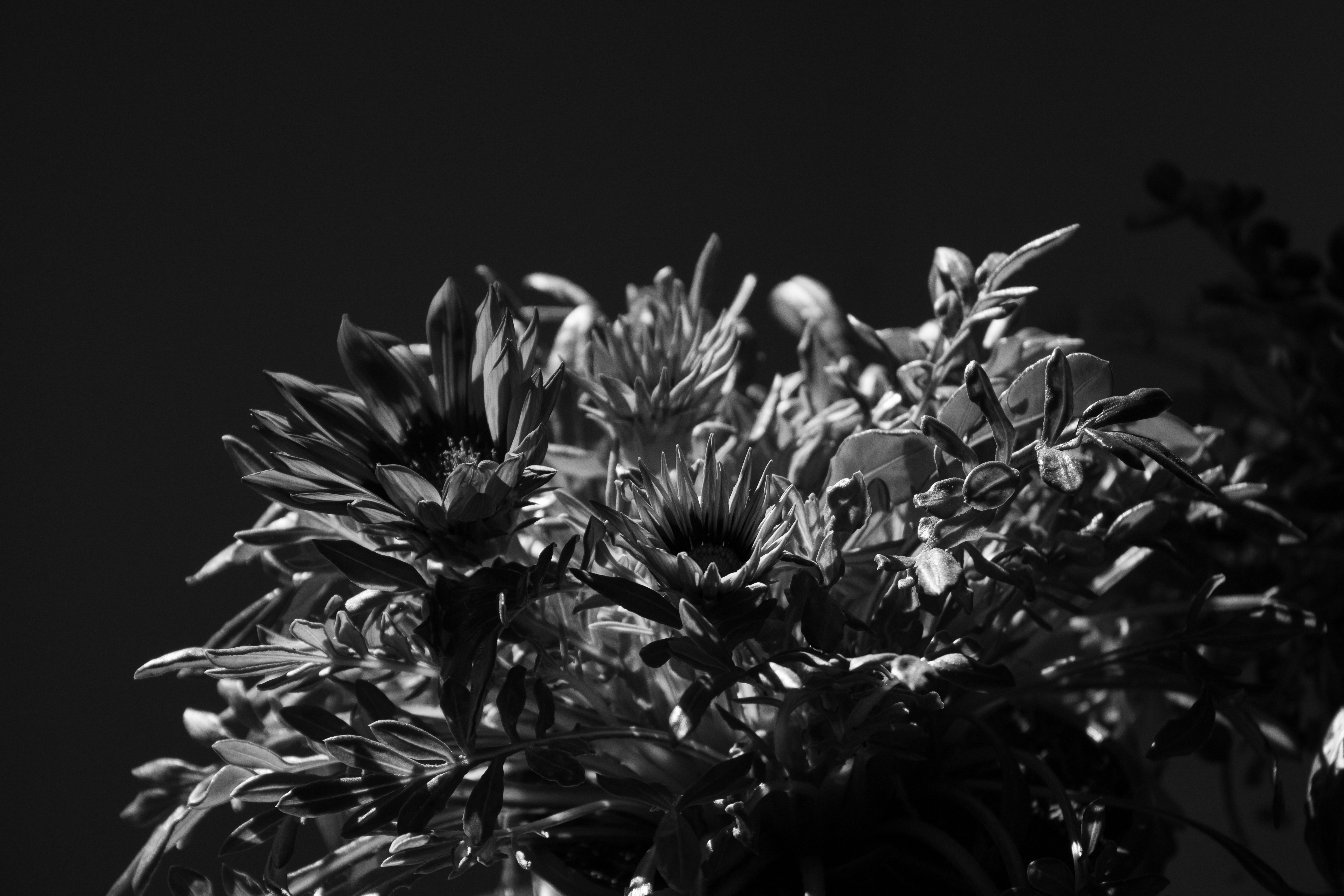 Photo by mariasolponce