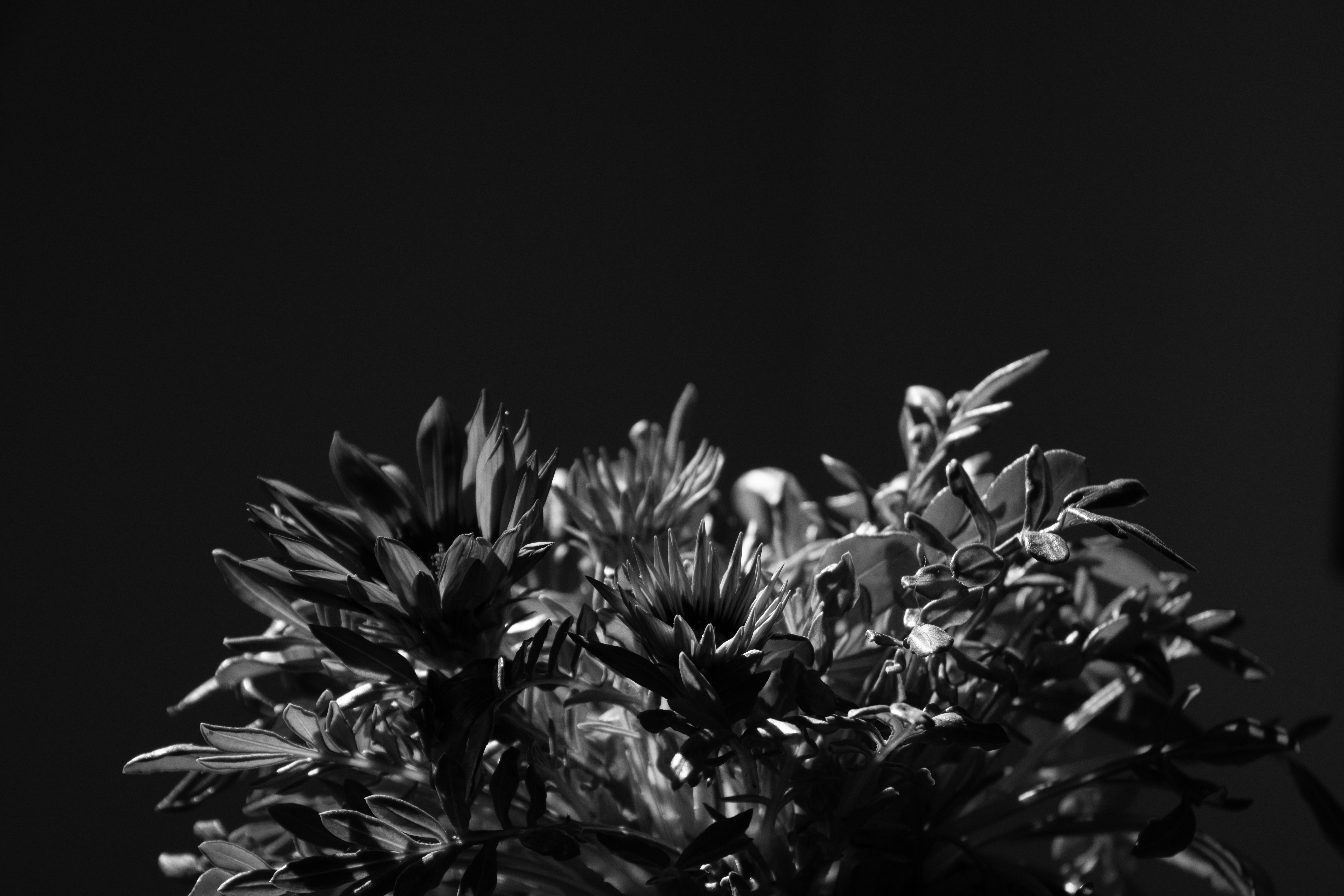 Photo by mariasolponce