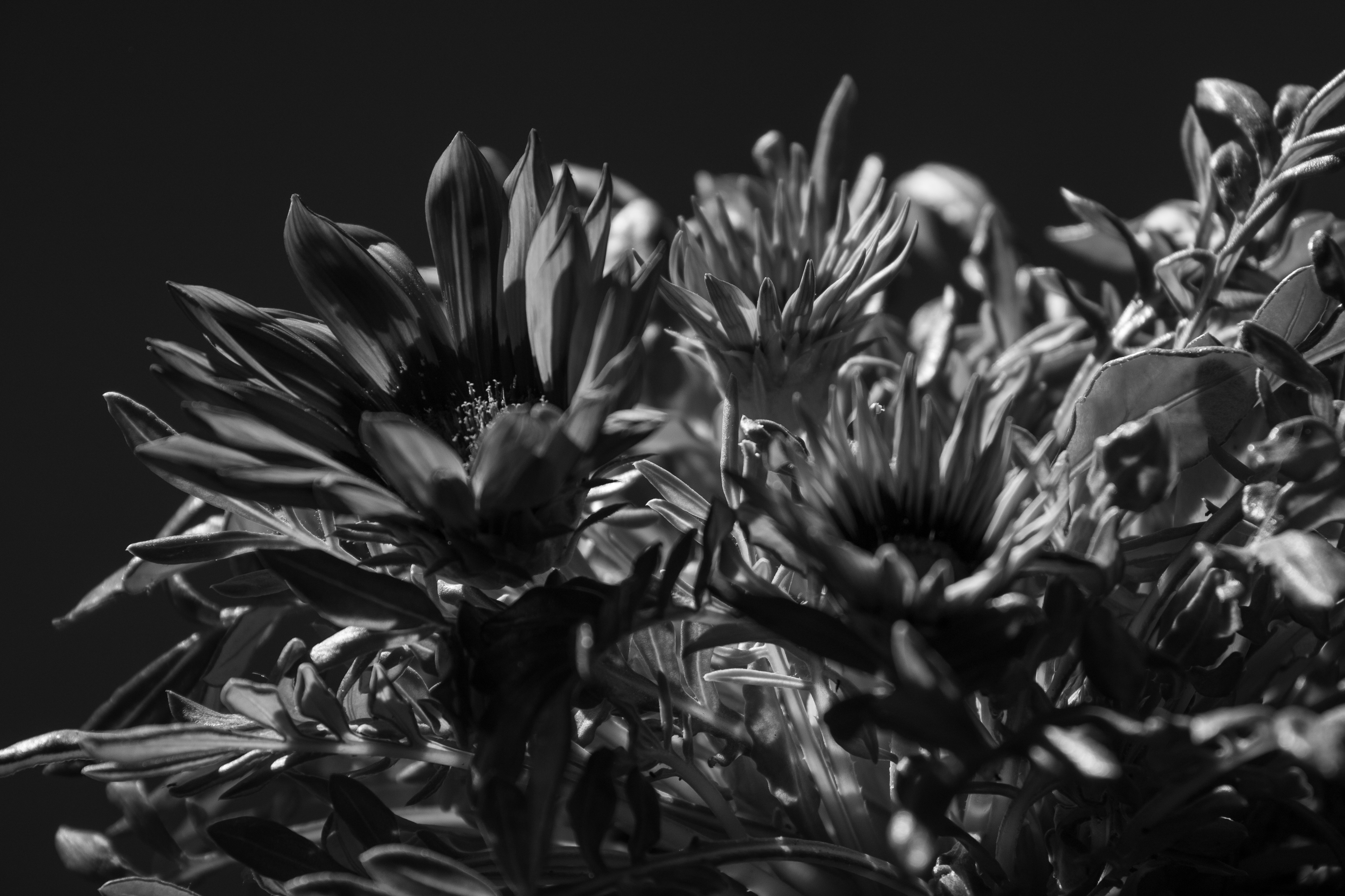 Photo by mariasolponce