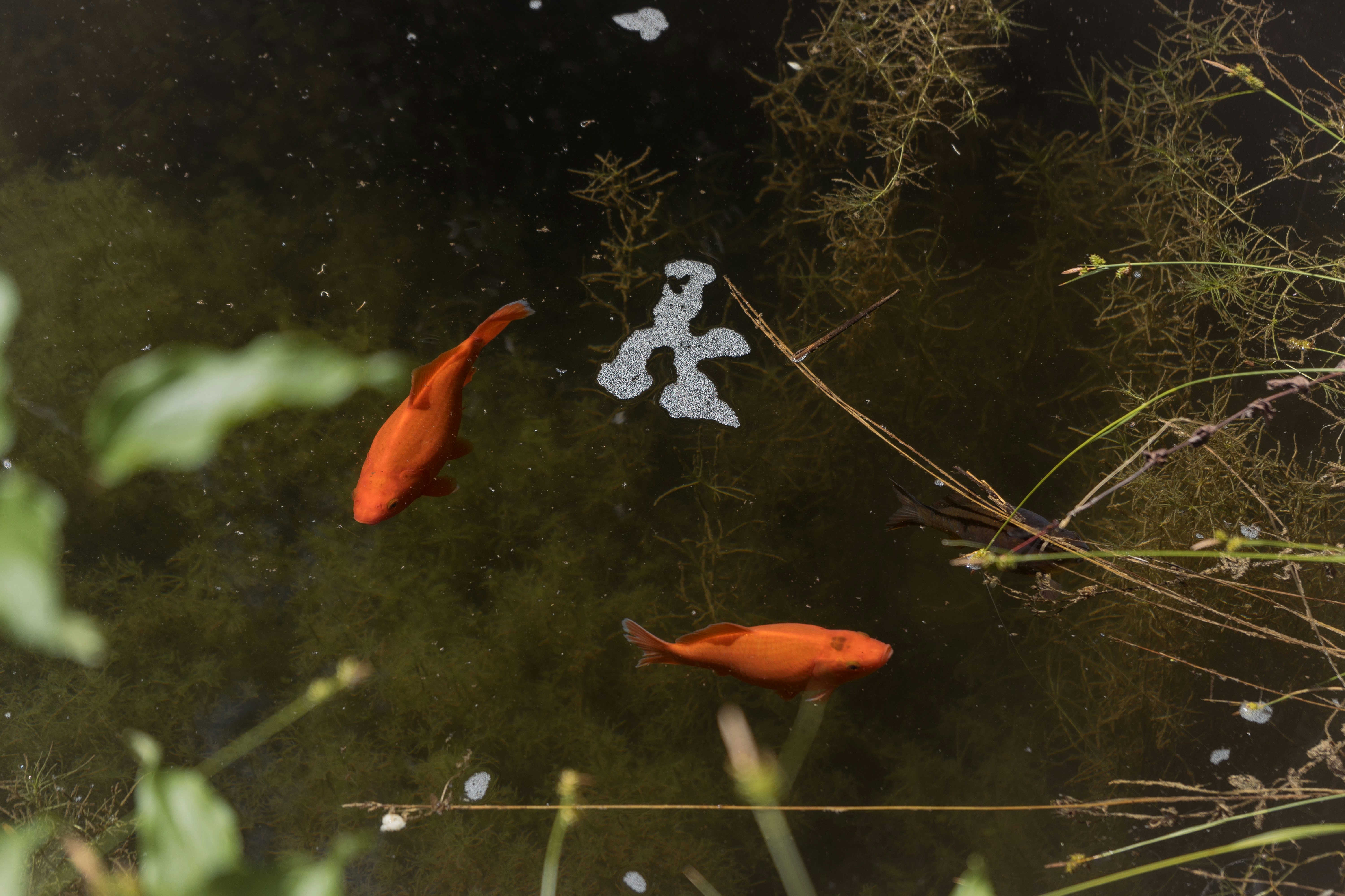 Photo by mariasolponce