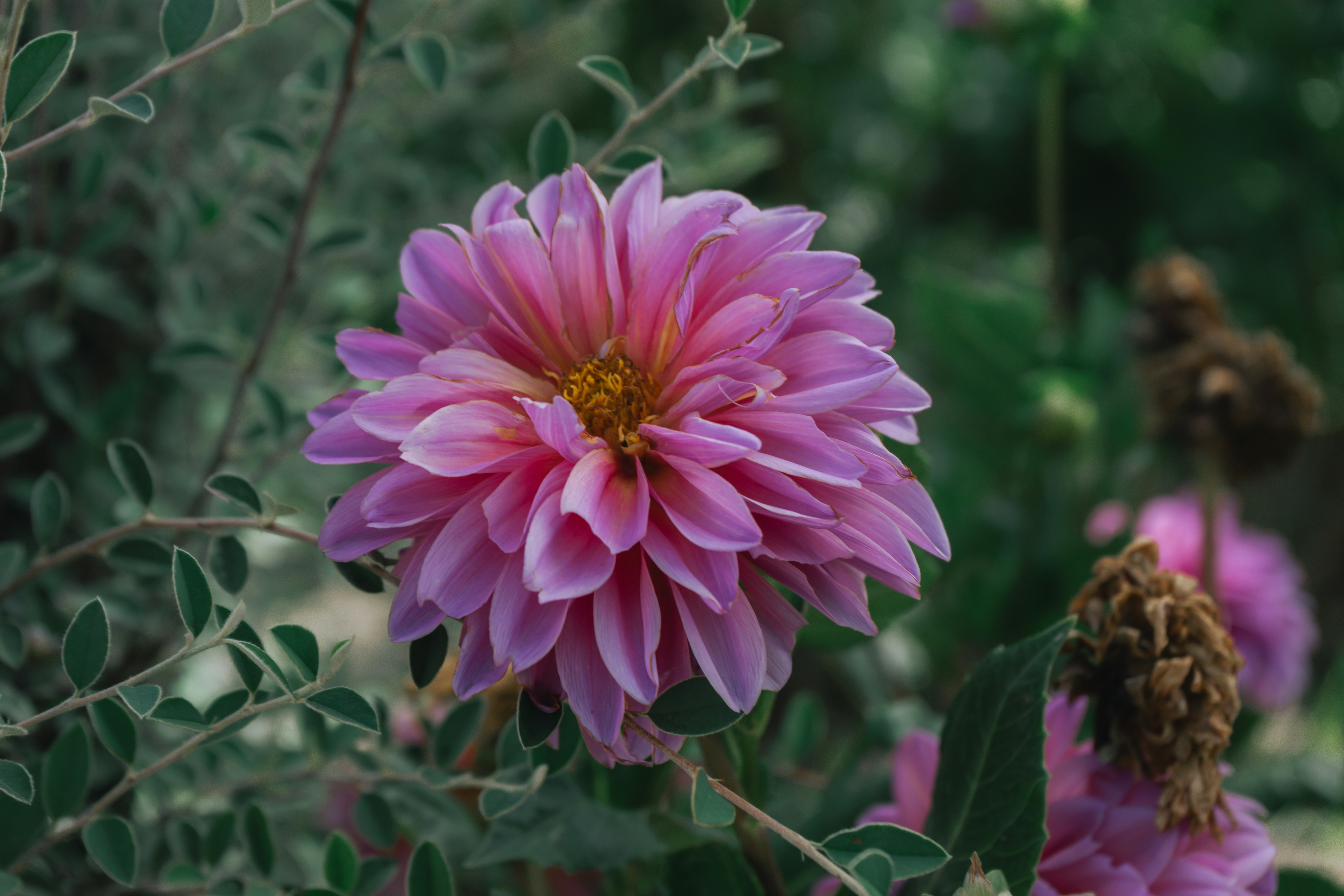 Photo by mariasolponce