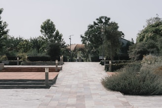 a walkway with benches and trees in the background