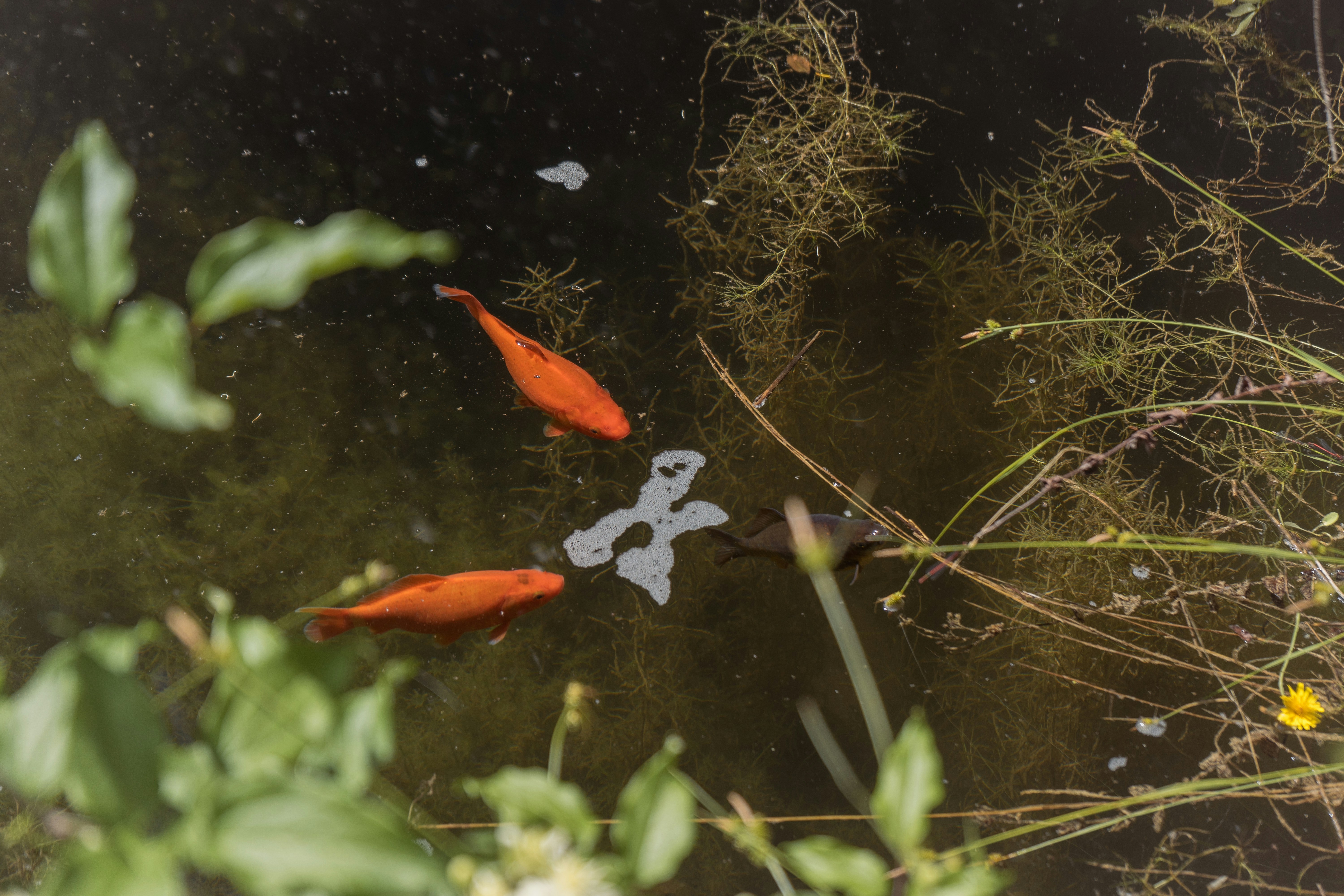 Photo by mariasolponce